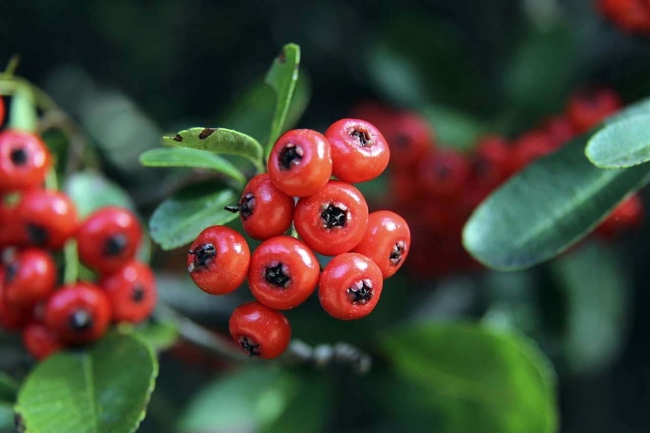 人盯人战术，一段萨利巴紧逼凯恩的短视频走红网络